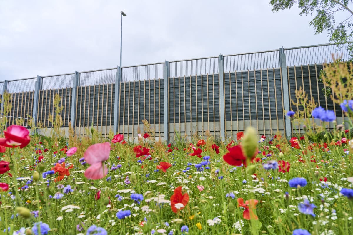 DAV NORDIC støjskærm med lydpaneler i Kregme og Meløse